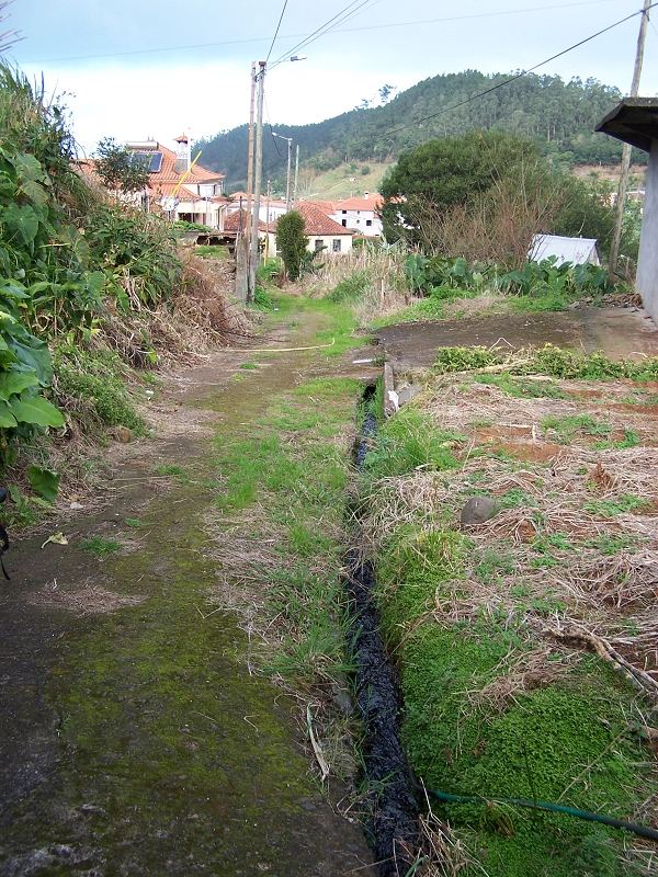 Levada de Santo Antonio — Secção 2 — foto 2