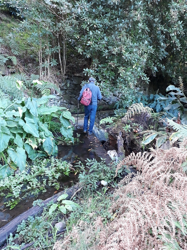 Levada de Santo Antonio — Secção 1 — foto 2