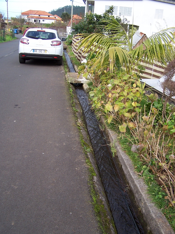 Levada de Santo Antonio — Secção 2 — foto 4