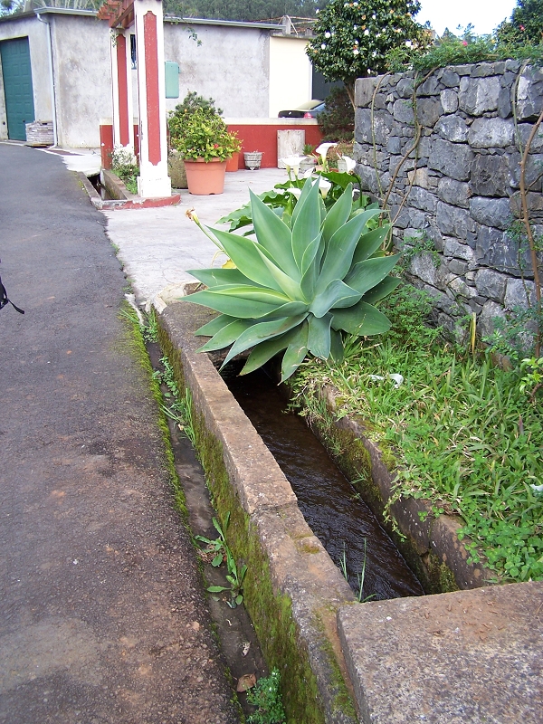 Levada de Santo Antonio — Secção 2 — foto 5