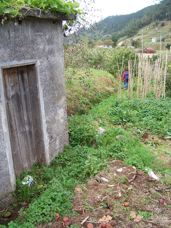 Levada de Santo Antonio — Secção 2 — foto 7