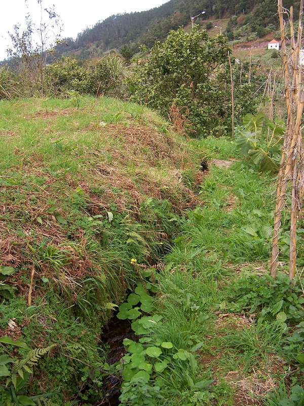 Levada de Santo Antonio — Secção 2 — foto 8