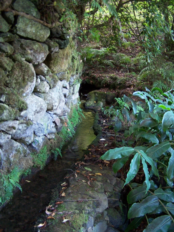 Levada de Santo Antonio — Secção 1 — foto 3