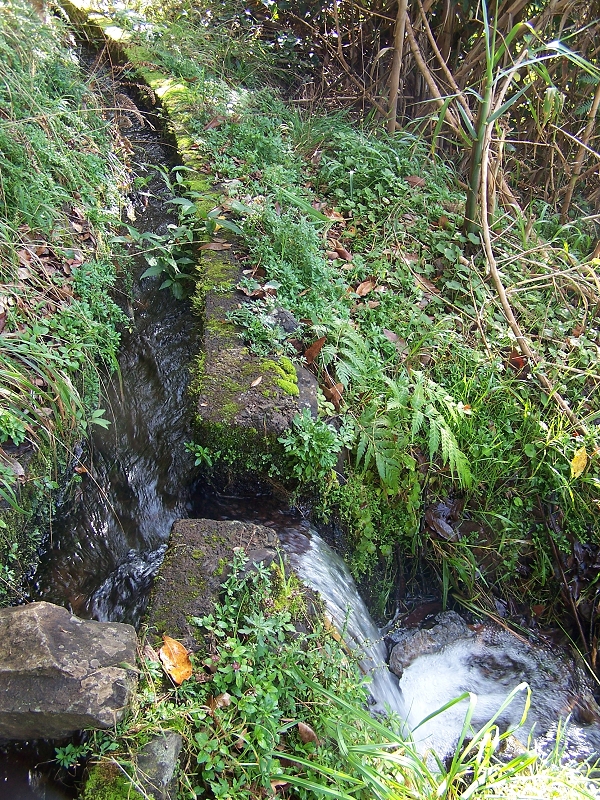 Levada de Santo Antonio — Secção 1 — foto 5