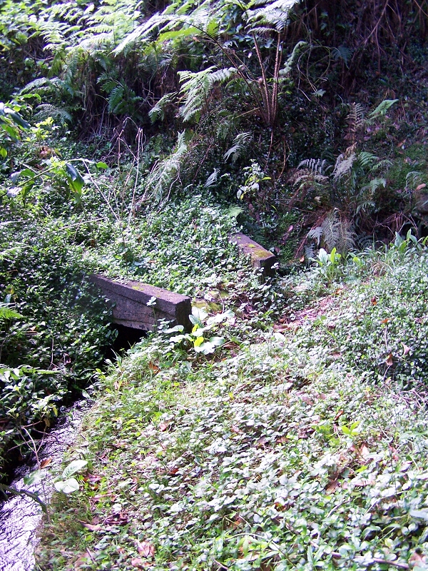 Levada de Santo Antonio — Secção 1 — foto 7