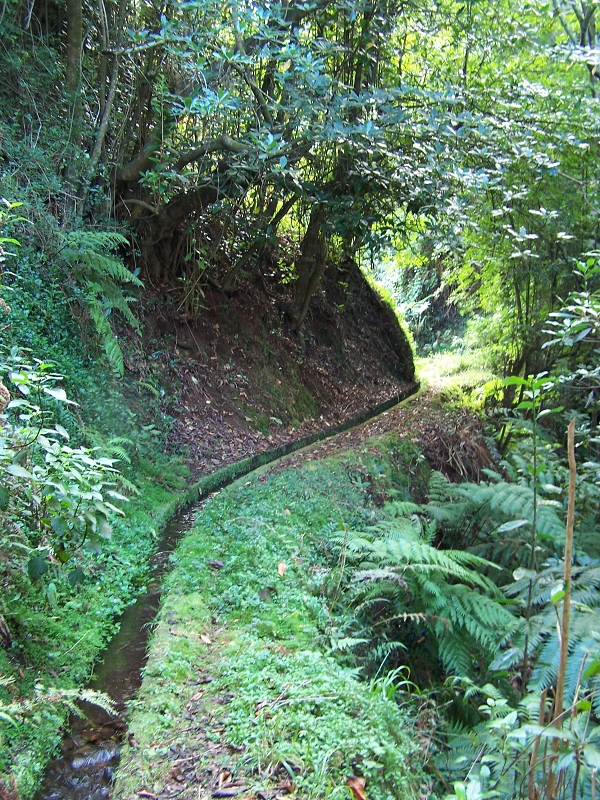 Levada de Santo Antonio — Secção 1 — foto 8