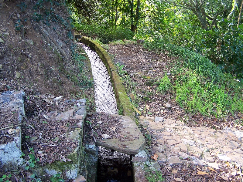 Levada de Santo Antonio — Secção 1 — foto 9