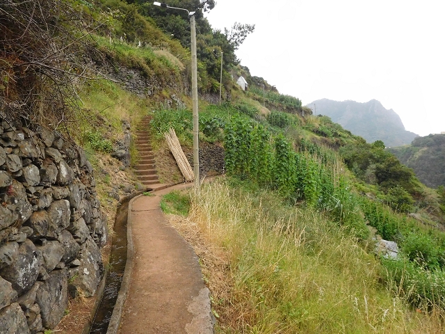 Levada de Sao Roque (de Faial) — photo 10
