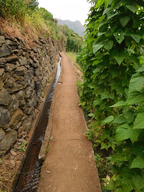 Levada de Sao Roque (de Faial) — photo 11