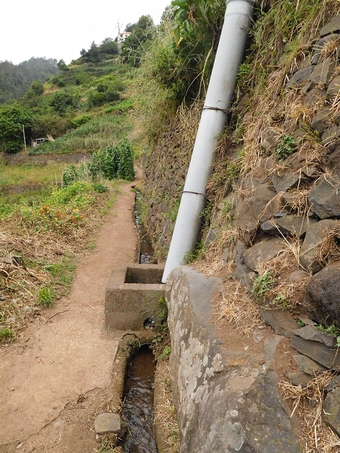 Levada de Sao Roque (de Faial) — photo 12