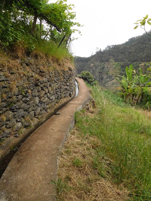 Levada de Sao Roque (de Faial) — photo 13