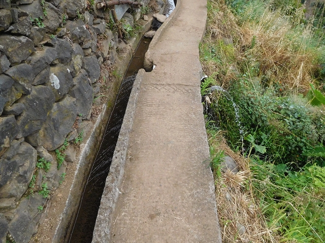 Levada de Sao Roque (de Faial) — photo 14