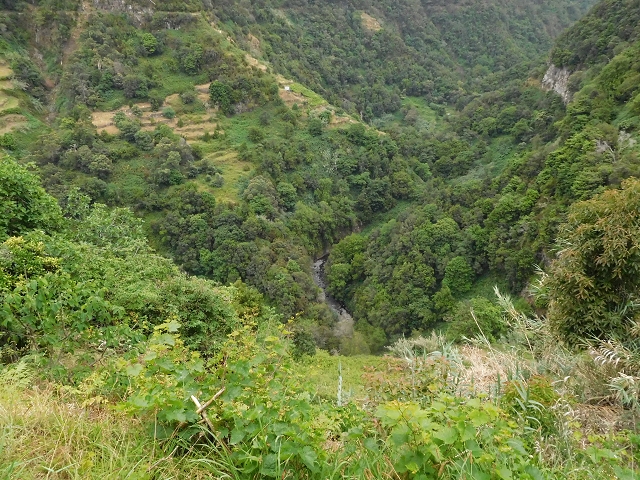 Levada de Sao Roque (de Faial) — photo 16