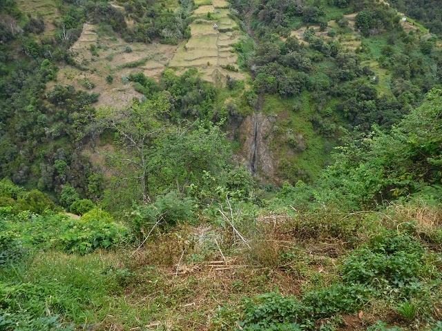 Levada de Sao Roque (de Faial) — photo 18