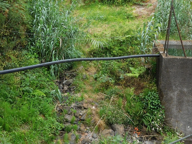 Levada de Sao Roque (de Faial) — photo 2