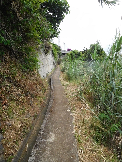Levada de Sao Roque (de Faial) — photo 20