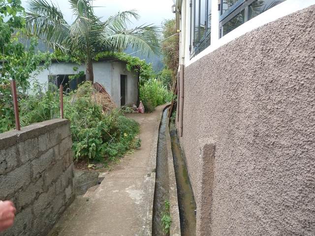 Levada de Sao Roque (de Faial) — photo 22