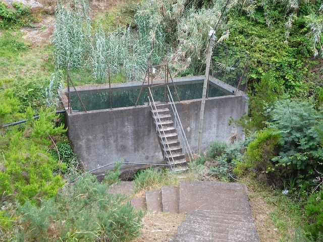 Levada de Sao Roque (de Faial) — photo 3