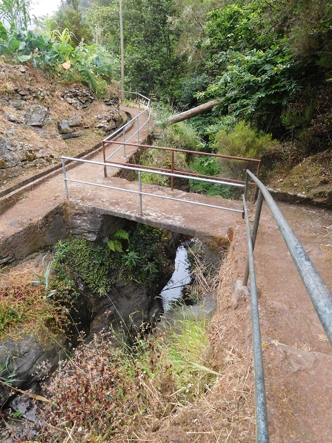 Levada de Sao Roque (de Faial) — photo 5