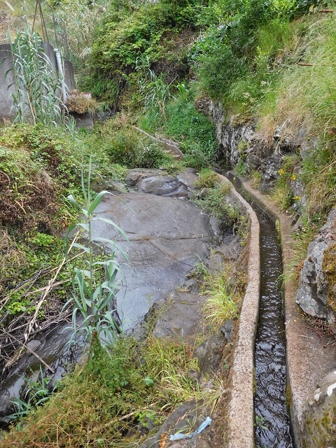Levada de Sao Roque (de Faial) — photo 6