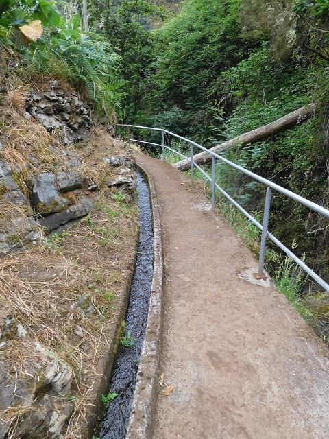 Levada de Sao Roque (de Faial) — photo 7