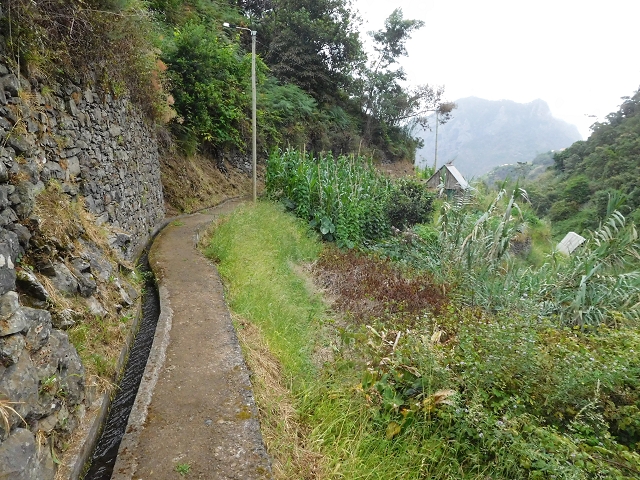 Levada de Sao Roque (de Faial) — photo 8