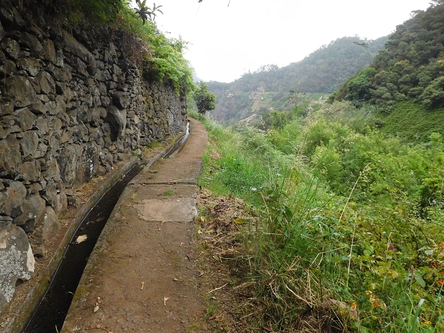 Levada de Sao Roque (de Faial) — photo 9