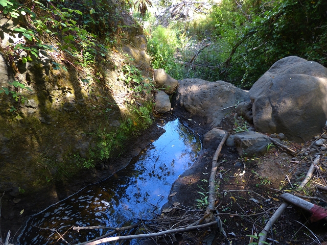 Levada de Baixo — Levada de Baixo — Foto 1
