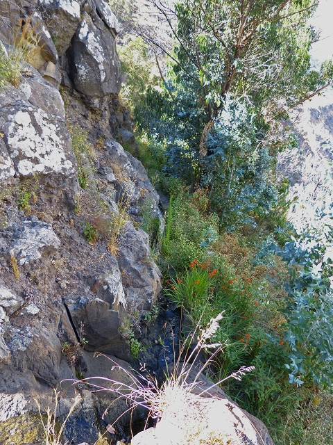 Levada de Baixo — Levada de Baixo — Foto 12