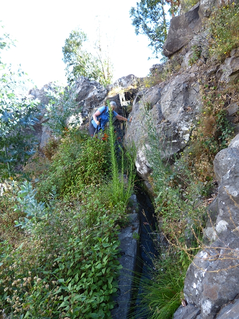 Levada de Baixo — Levada de Baixo — Foto 13