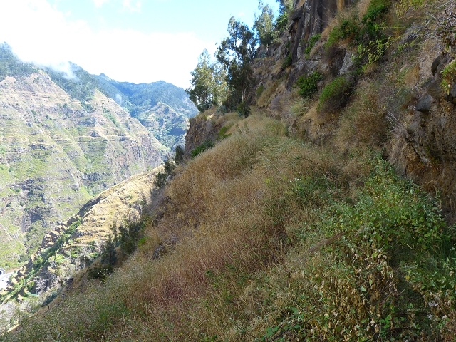 Levada de Baixo — Levada de Baixo — Foto 19