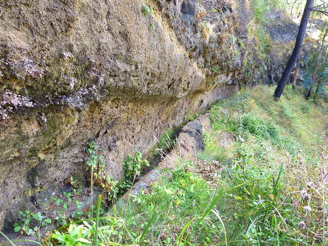 Levada de Baixo — Levada de Baixo — Foto 20