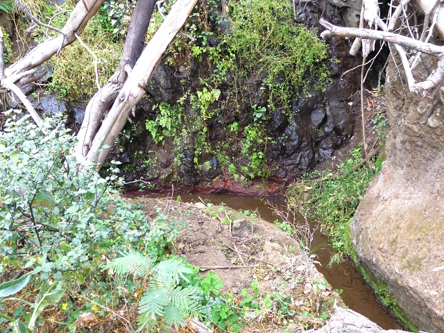 Levada de Baixo — Levada de Baixo — Foto 21