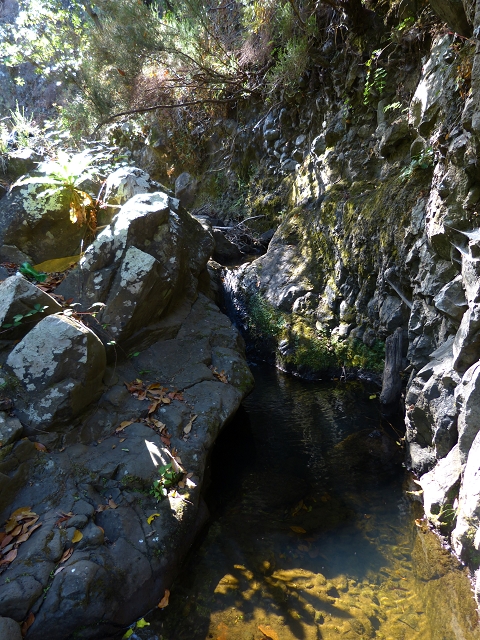 Levada de Baixo — Levada de Baixo — Foto 2