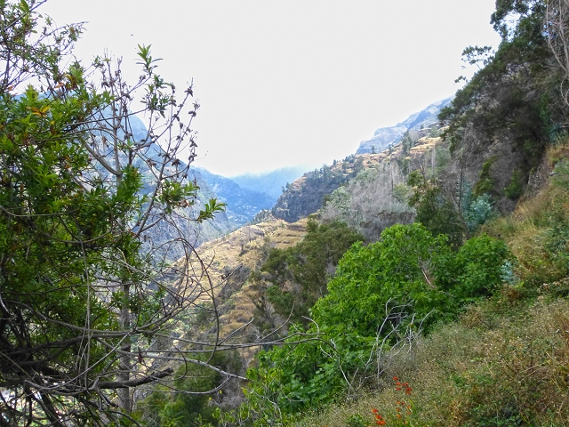 Levada de Baixo — Levada de Baixo — Foto 22