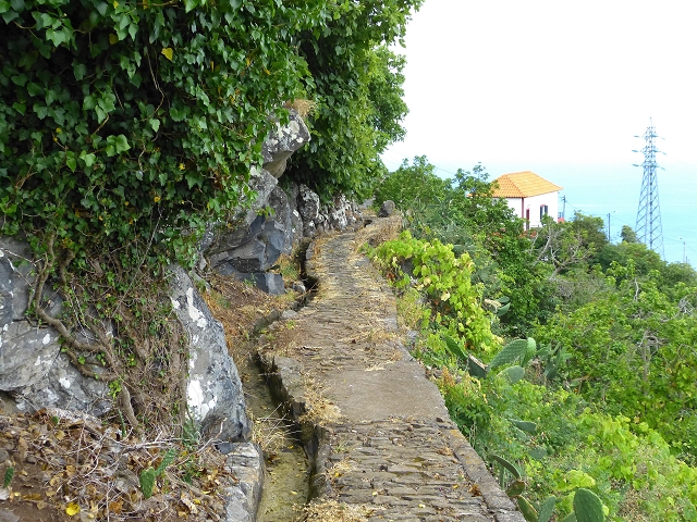 Levada de Baixo — Levada de Baixo — Foto 24