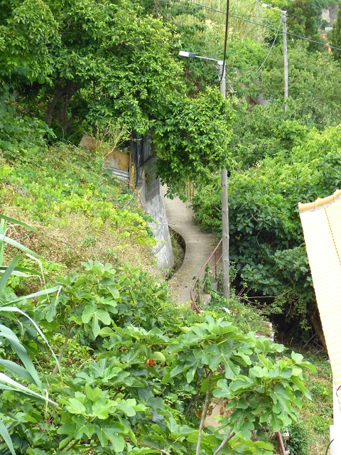 Levada de Baixo — Levada de Baixo — Foto 25