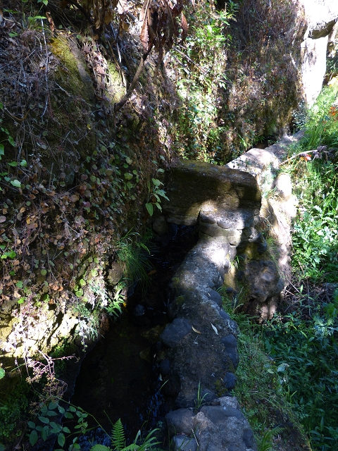 Levada de Baixo — Levada de Baixo — Foto 3
