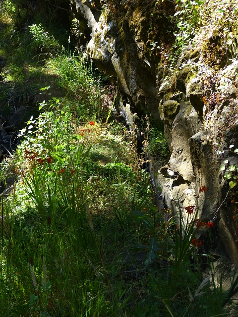 Levada de Baixo — Levada de Baixo — Foto 4