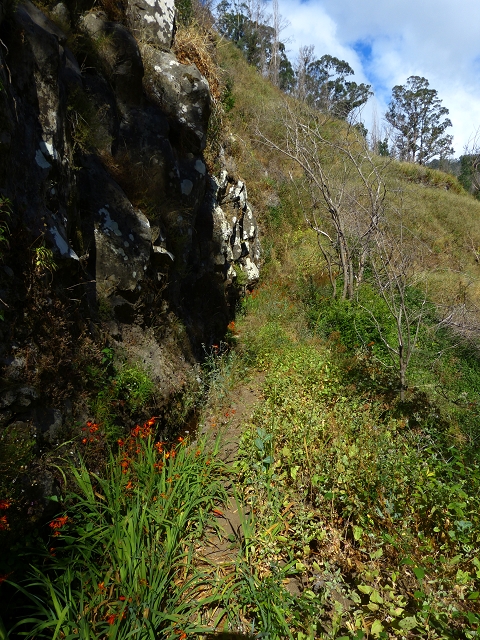 Levada de Baixo — Levada de Baixo — Foto 6