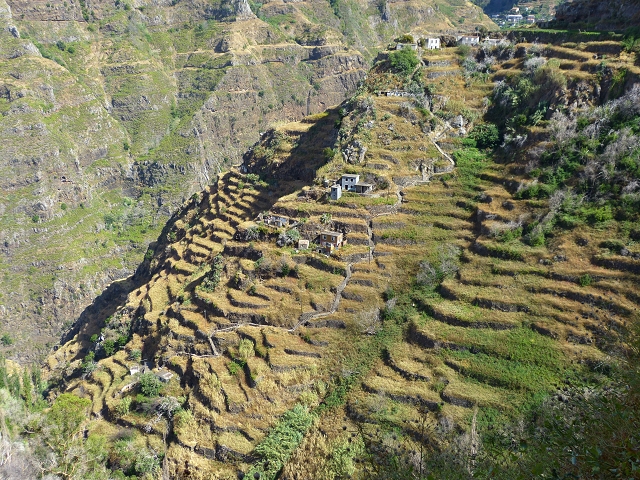 Levada de Baixo — Levada de Baixo — Foto 11