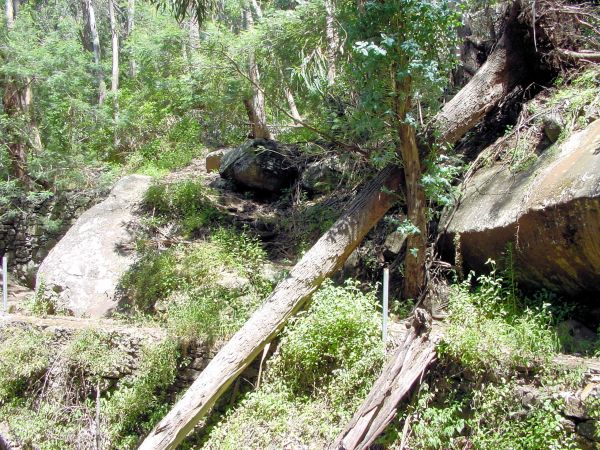 Levada do Bom Sucesso — Bilder: Zustand 2011 — Foto 12