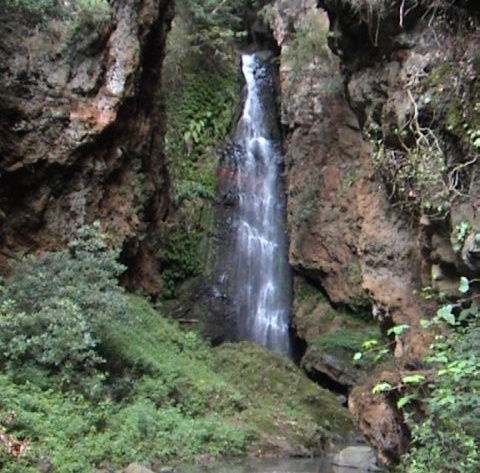 Levada do Bom Sucesso — Bilder: Zustand 2011 — Foto 16
