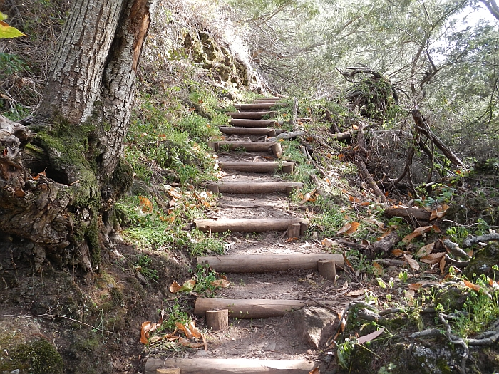 Levada do Bom Sucesso — Bilder: Zustand 2012 — Foto 1