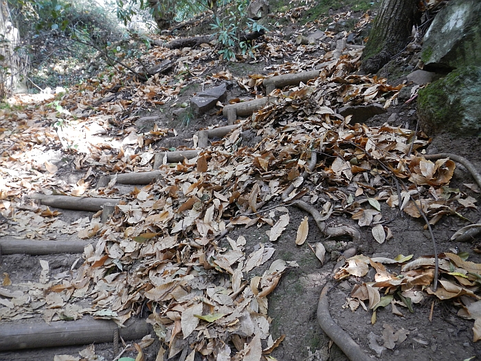 Levada do Bom Sucesso — Bilder: Zustand 2012 — Foto 2