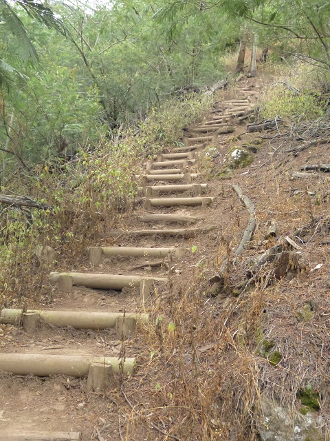Levada do Bom Sucesso — Bilder: Zustand 2013 — Foto 2