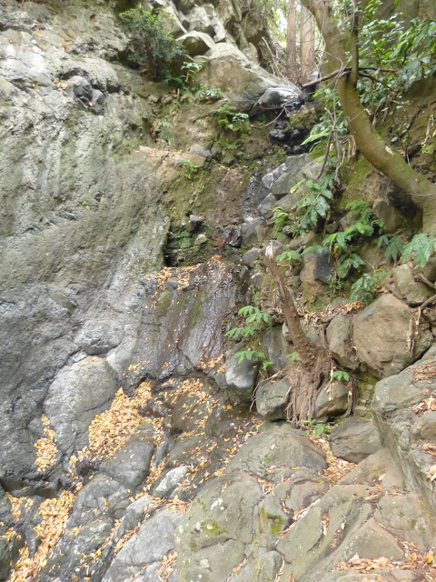 Levada do Bom Sucesso — Bilder: Zustand 2013 — Foto 4