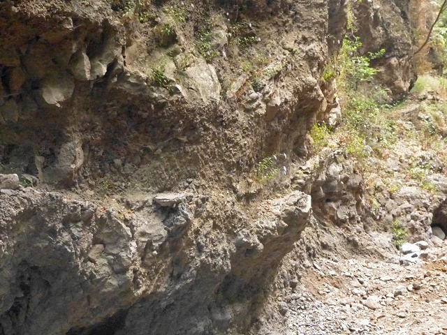 Levada do Bom Sucesso — Bilder: Zustand 2013 — Foto 6