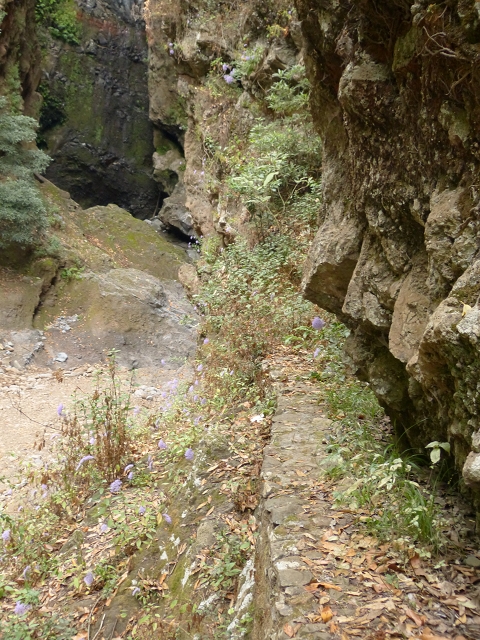 Levada do Bom Sucesso — Bilder: Zustand 2013 — Foto 8