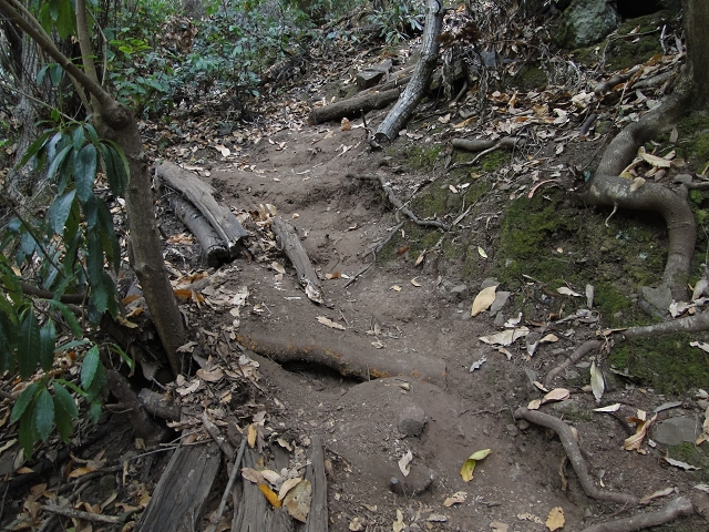 Levada do Bom Sucesso — Bilder: Zustand 2011 — Foto 3
